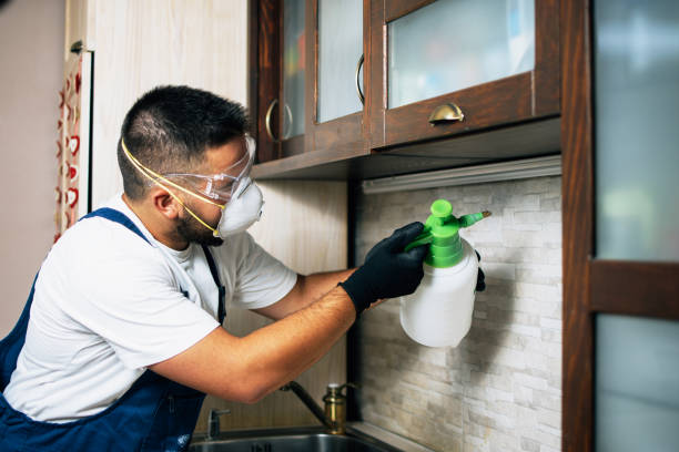Best Mosquito Control Services  in Ingleside, TX