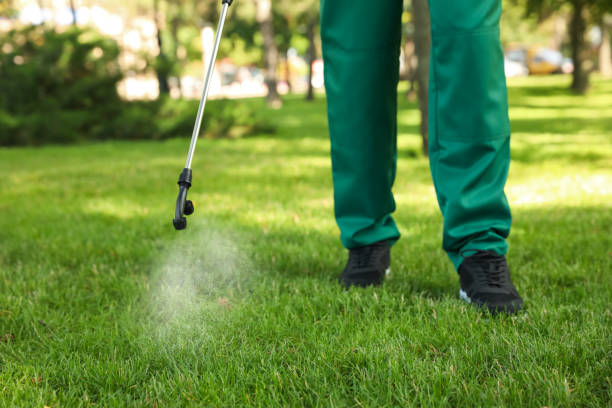 Pest Prevention Services in Ingleside, TX
