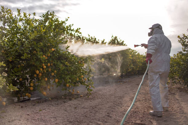Best Cockroach Control Services  in Ingleside, TX