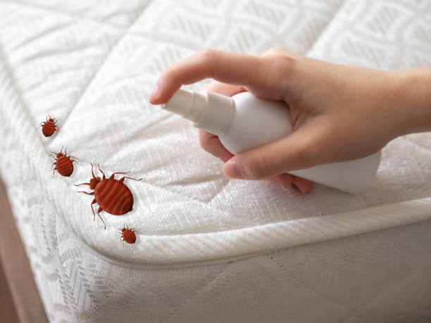 Best Bed Bug Extermination  in Ingleside, TX