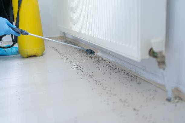 Best Affordable Pest Control Services  in Ingleside, TX