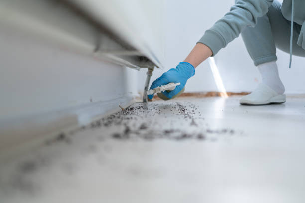 Best Pest Control for Homes  in Ingleside, TX